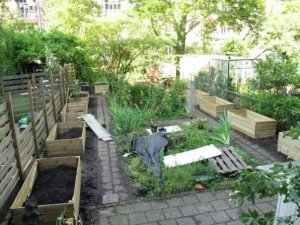 Garden - mostly done