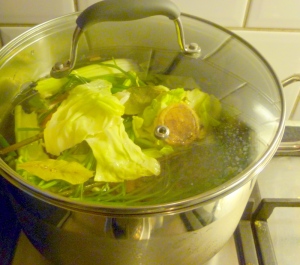 Stock ingredients with water to cover