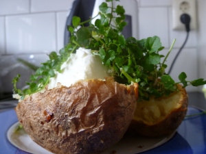 Grden weed salad, Jacket potato and cream cheese