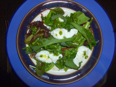 Wild Garlic & Qualis Egg Salad With Wild Garlic Pesto