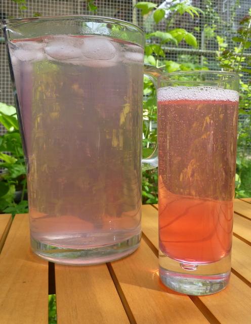 Wild rose petal cordial