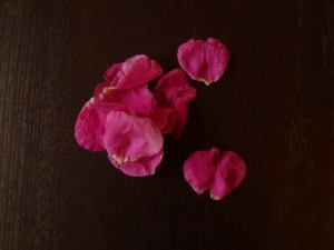 Wild Rose petals
