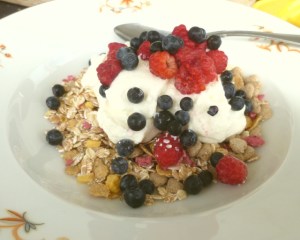 Muesli and foraged berries