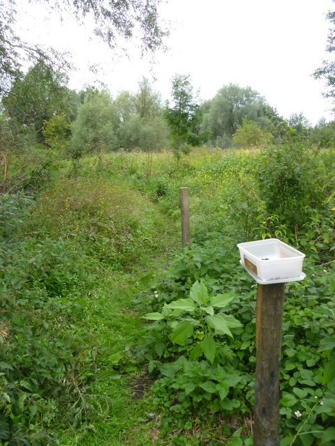 Foraging Spot, De Bretten, Netherlands