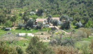 Varzea Viva, Portugal