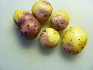 Purple Eye Potatoes
