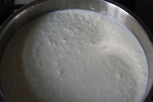 Curds after citric acid and gentle heat