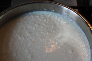 Curds after adding rennet and heating