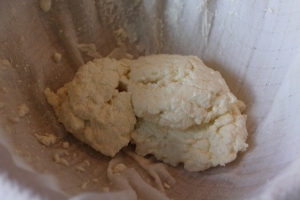 Curds, after most of the whey has run off