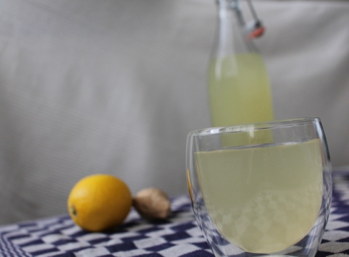 Lacto-fermented Ginger Ale