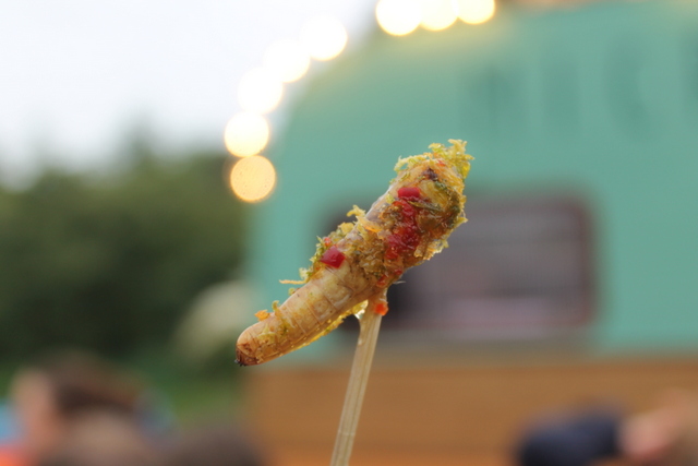 Cricket, Chilli and Lemon Zest Lollipop